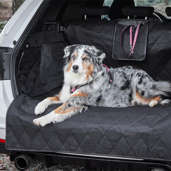 housse_voiture_chien_confort