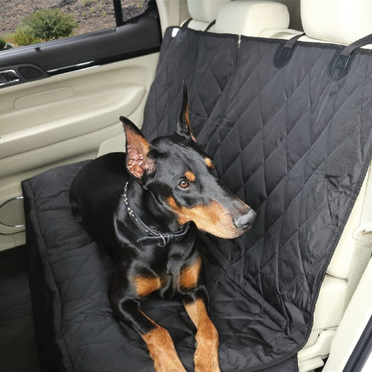 protectionvoiturechienconfortable