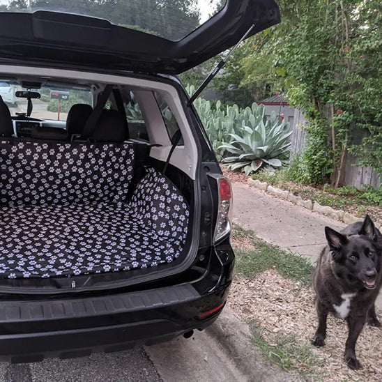 protectionvoiturechienimpermeable